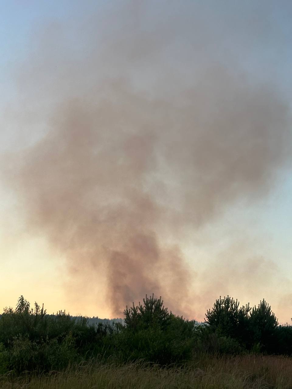 Einsatzbericht: Waldbrand Neustrelitz