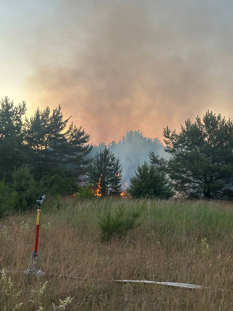 Einsatzbericht: Waldbrand Neustrelitz
