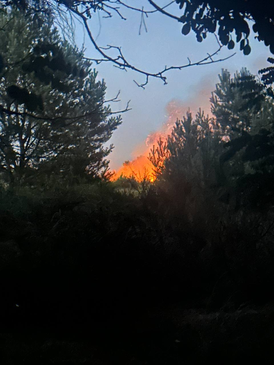 Einsatzbericht: Waldbrand Neustrelitz