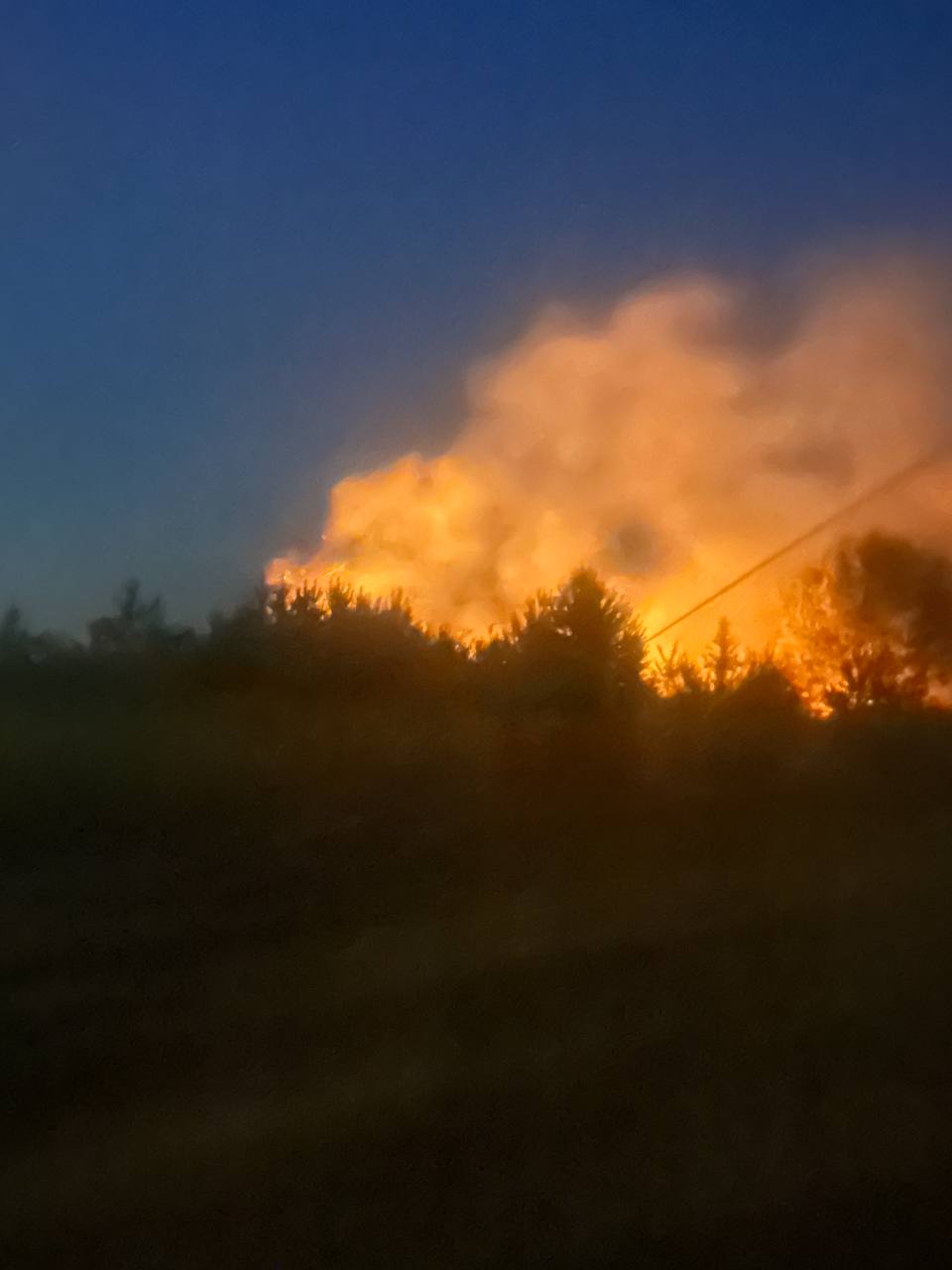 Einsatzbericht: Waldbrand Neustrelitz